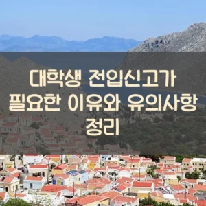 대학생 전입신고가 필요한 이유와 유의사항 정리