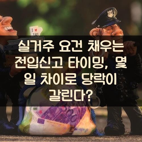 실거주 요건 채우는 전입신고 타이밍, 몇 일 차이로 당락이 갈린다?