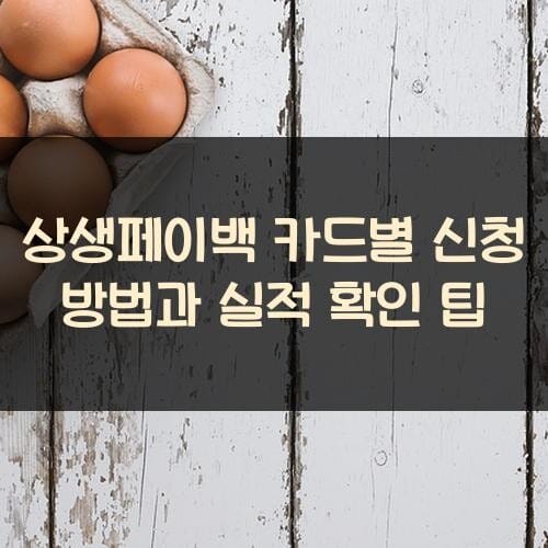 상생페이백 카드별 신청 방법과 실적 확인 팁