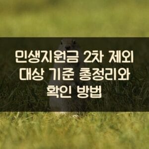 민생지원금 2차 제외 대상 기준 총정리와 확인 방법