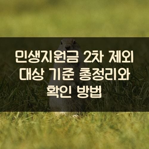 민생지원금 2차 제외 대상 기준 총정리와 확인 방법