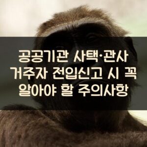 공공기관 사택·관사 거주자 전입신고 시 꼭 알아야 할 주의사항