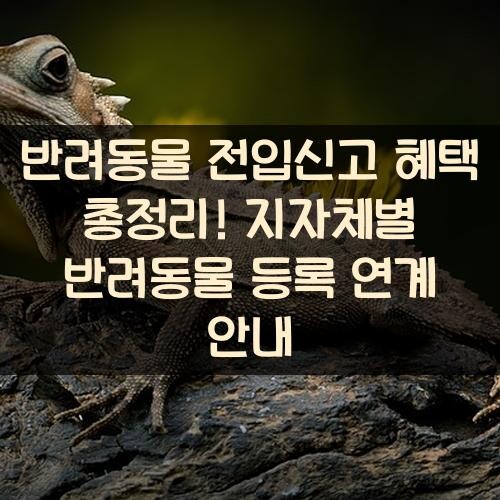 반려동물 전입신고 혜택 총정리! 지자체별 반려동물 등록 연계 안내