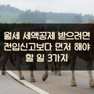 월세 세액공제 받으려면 전입신고보다 먼저 해야 할 일 3가지