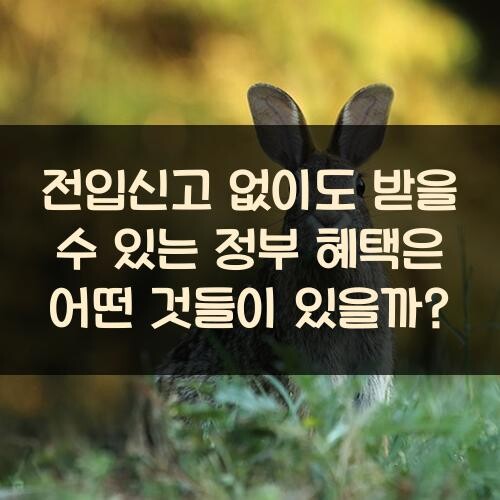 전입신고 없이도 받을 수 있는 정부 혜택은 어떤 것들이 있을까?