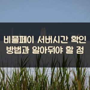 비플페이 서버시간 확인 방법과 알아둬야 할 점