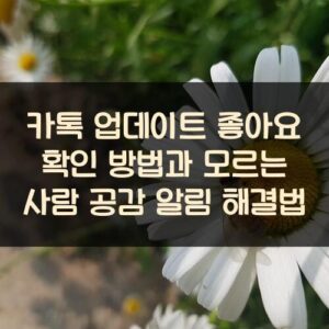 카톡 업데이트 좋아요 확인 방법과 모르는 사람 공감 알림 해결법