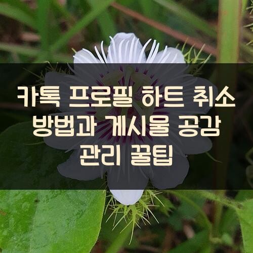 카톡 프로필 하트 취소 방법과 게시물 공감 관리 꿀팁