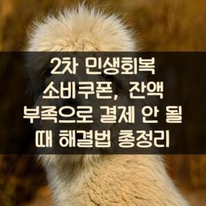 2차 민생회복 소비쿠폰, 잔액 부족으로 결제 안 될 때 해결법 총정리