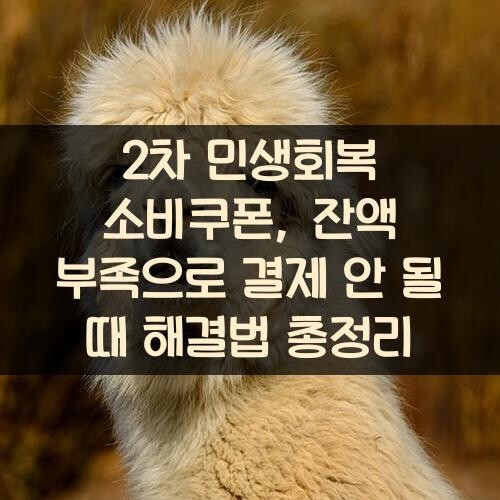 2차 민생회복 소비쿠폰, 잔액 부족으로 결제 안 될 때 해결법 총정리