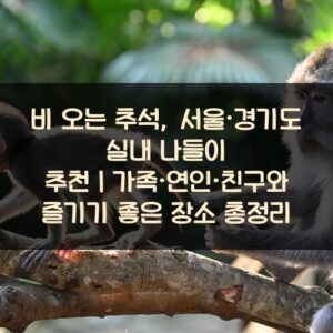 비 오는 추석, 서울·경기도 실내 나들이 추천｜가족·연인·친구와 즐기기 좋은 장소 총정리