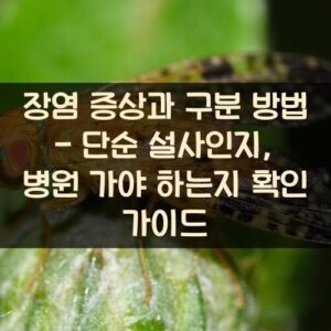 장염 증상과 구분 방법 - 단순 설사인지, 병원 가야 하는지 확인 가이드