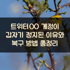 트위터(X) 계정이 갑자기 정지된 이유와 복구 방법 총정리