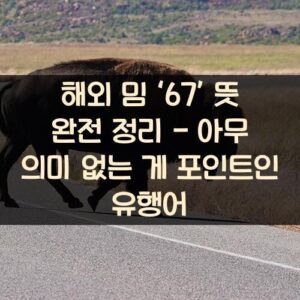 해외 밈 ‘67’ 뜻 완전 정리 - 아무 의미 없는 게 포인트인 유행어
