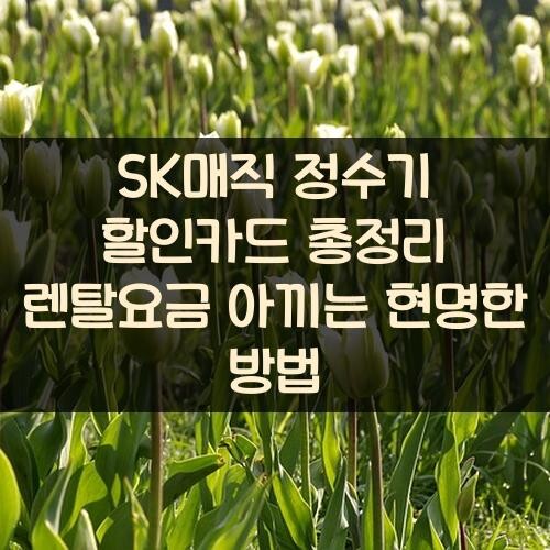 SK매직 정수기 할인카드 총정리 렌탈요금 아끼는 현명한 방법