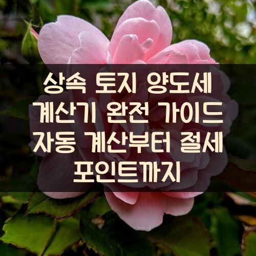 상속 토지 양도세 계산기 완전 가이드: 자동 계산부터 절세 포인트까지