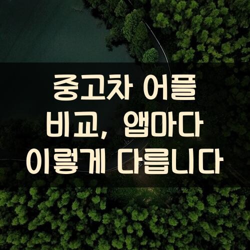 중고차 어플 비교, 앱마다 이렇게 다릅니다