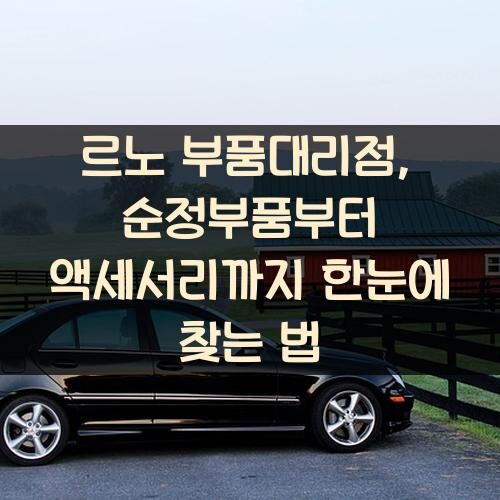 르노 부품대리점, 순정부품부터 액세서리까지 한눈에 찾는 법