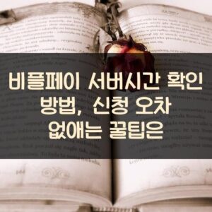 비플페이 서버시간 확인 방법, 신청 오차 없애는 꿀팁은?