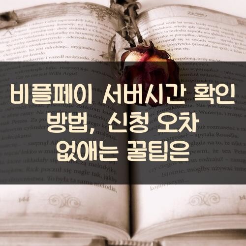 비플페이 서버시간 확인 방법, 신청 오차 없애는 꿀팁은?