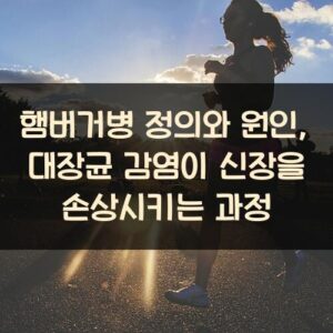 햄버거병 정의와 원인, 대장균 감염이 신장을 손상시키는 과정