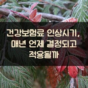 건강보험료 인상시기, 매년 언제 결정되고 적용될까?