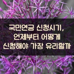 국민연금 신청시기, 언제부터 어떻게 신청해야 가장 유리할까?