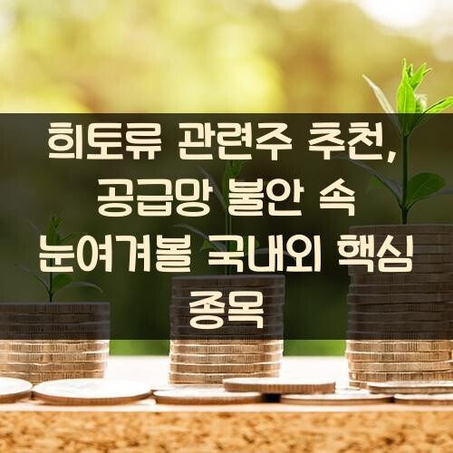 희토류 관련주 추천, 공급망 불안 속 눈여겨볼 국내외 핵심 종목