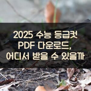 2025 수능 등급컷 PDF 다운로드, 어디서 받을 수 있을까?