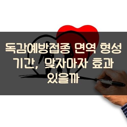 독감예방접종 면역 형성 기간, 맞자마자 효과 있을까?