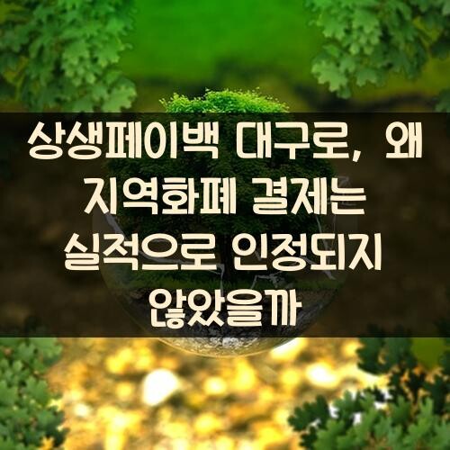 상생페이백 대구로, 왜 지역화폐 결제는 실적으로 인정되지 않았을까?