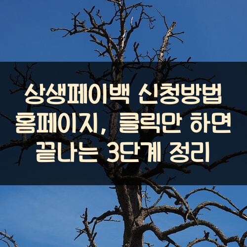 상생페이백 신청방법 홈페이지, 클릭만 하면 끝나는 3단계 정리
