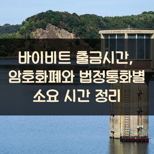 바이비트 출금시간, 암호화폐와 법정통화별 소요 시간 정리