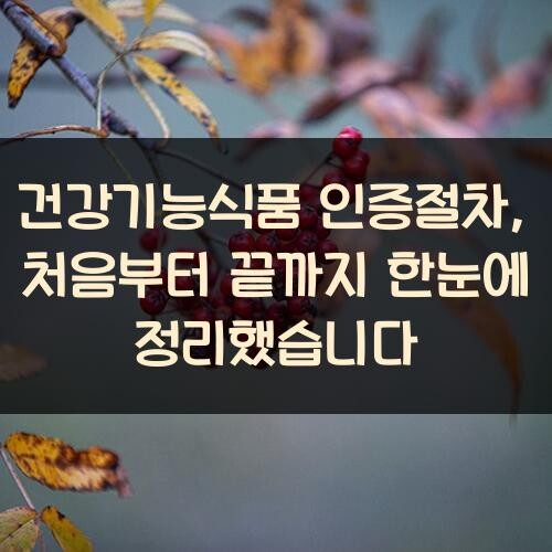 건강기능식품 인증절차, 처음부터 끝까지 한눈에 정리했습니다