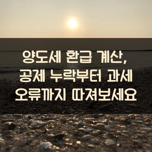 양도세 환급 계산, 공제 누락부터 과세 오류까지 따져보세요