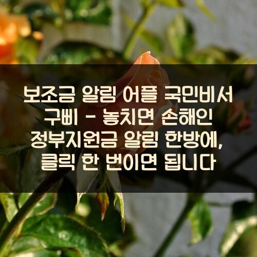 보조금 알림 어플 국민비서 구삐 - 놓치면 손해인 정부지원금 알림 한방에, 클릭 한 번이면 됩니다