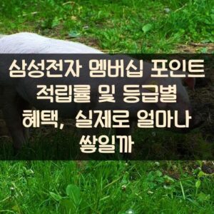 삼성전자 멤버십 포인트 적립률 및 등급별 혜택, 실제로 얼마나 쌓일까?