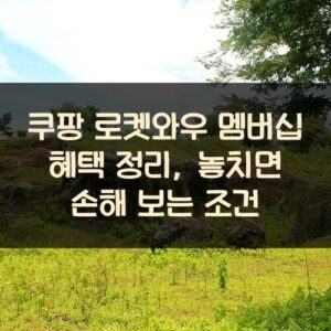 쿠팡 로켓와우 멤버십 혜택 정리, 놓치면 손해 보는 조건