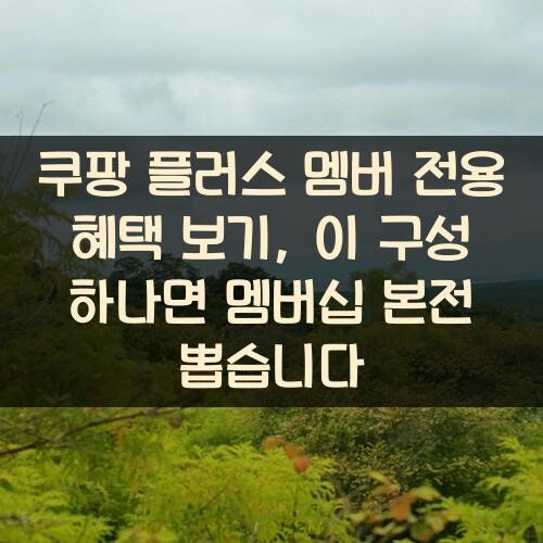 쿠팡 플러스 멤버 전용 혜택 보기, 이 구성 하나면 멤버십 본전 뽑습니다