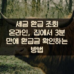 세금 환급 조회 온라인, 집에서 3분 만에 환급금 확인하는 방법