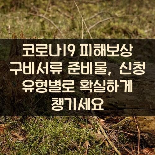 코로나19 피해보상 구비서류 준비물, 신청 유형별로 확실하게 챙기세요