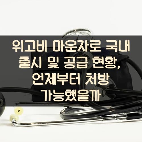 위고비 마운자로 국내 출시 및 공급 현황, 언제부터 처방 가능했을까?