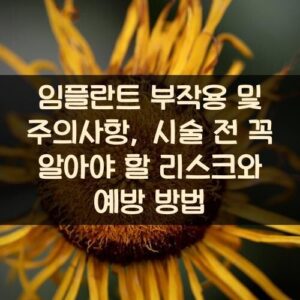 임플란트 부작용 및 주의사항, 시술 전 꼭 알아야 할 리스크와 예방 방법