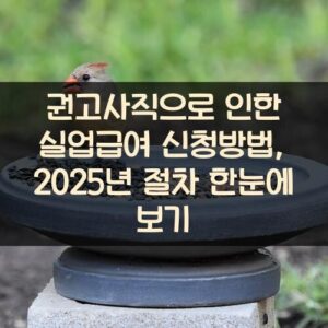 권고사직으로 인한 실업급여 신청방법, 2025년 절차 한눈에 보기