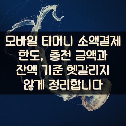모바일 티머니 소액결제 한도, 충전 금액과 잔액 기준 헷갈리지 않게 정리합니다