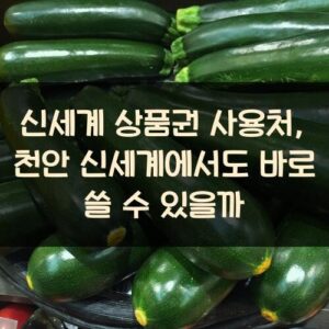 신세계 상품권 사용처, 천안 신세계에서도 바로 쓸 수 있을까?