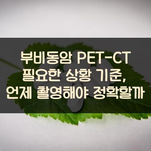 부비동암 PET-CT 필요한 상황 기준, 언제 촬영해야 정확할까?