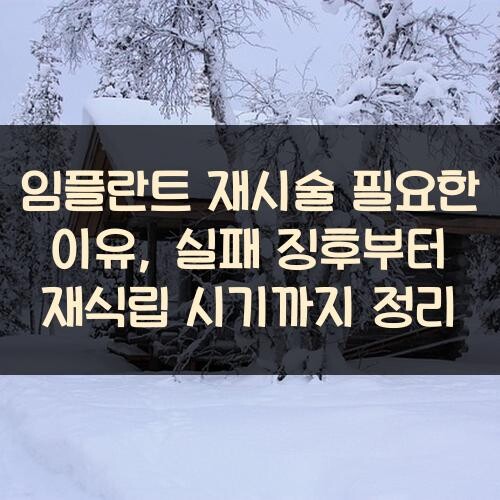 임플란트 재시술 필요한 이유, 실패 징후부터 재식립 시기까지 정리
