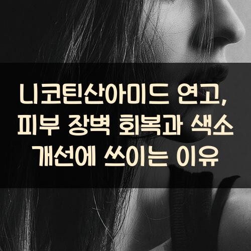 니코틴산아미드 연고, 피부 장벽 회복과 색소 개선에 쓰이는 이유