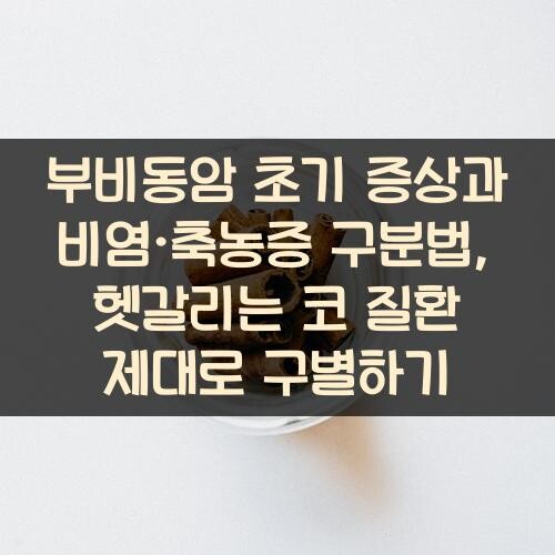 부비동암 초기 증상과 비염·축농증 구분법, 헷갈리는 코 질환 제대로 구별하기